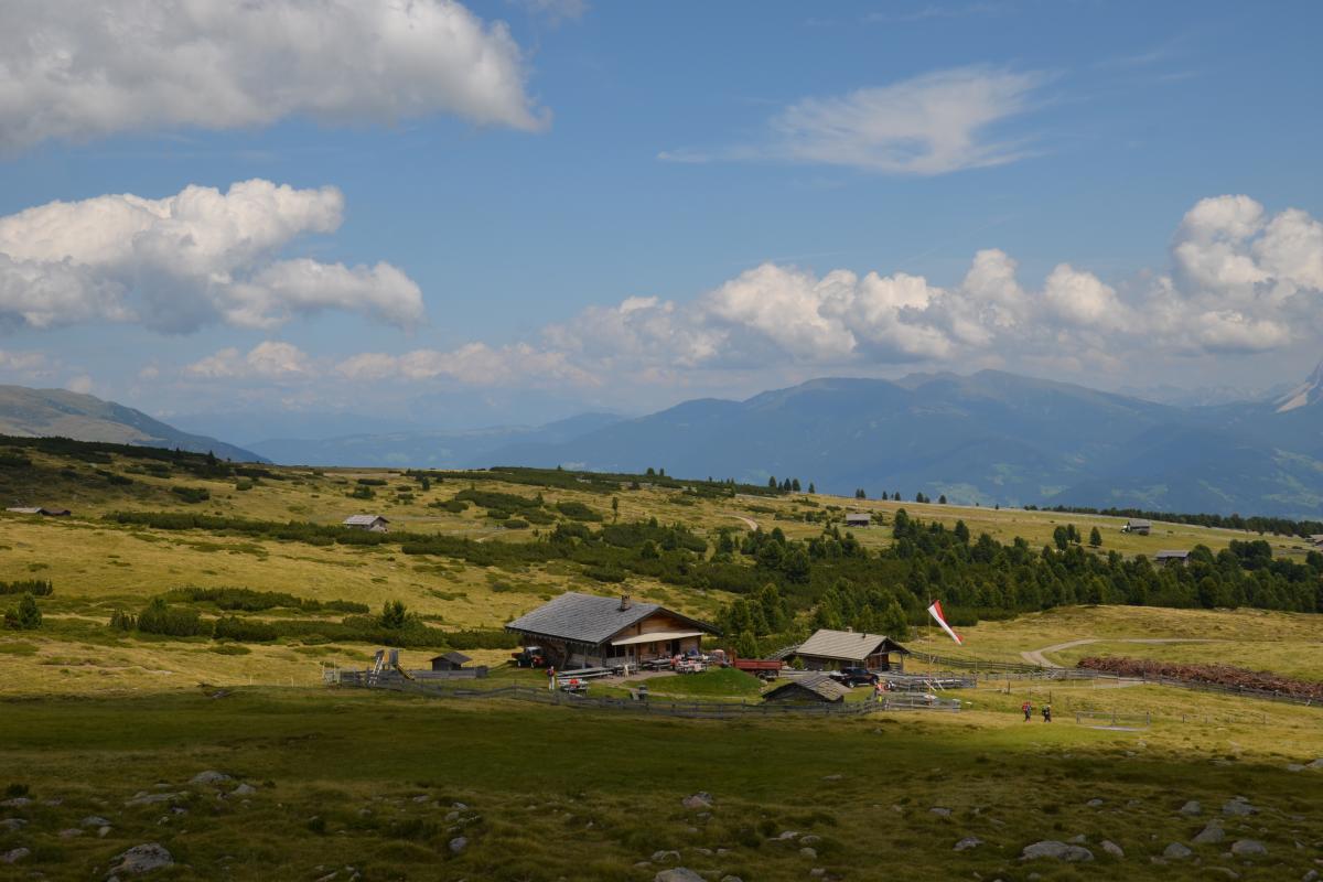 Latschenoelbrennerei und Platzer Alm 09.08.2021